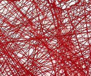 Red Threads: A History of the People's Flag Red Threads: A History of the People's Flag