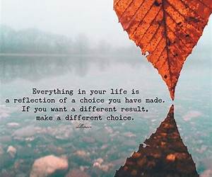 Reflections on Life: A Collection of Quotes Reflections on Life: A Collection of Quotes