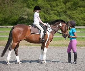 Riding Lessons: An ANR ABF Adult Nursing Fantasy Bisexual Harem Delight (The Rancher's Harem Book 18) Riding Lessons: An ANR ABF Adult Nursing Fantasy Bisexual Harem Delight (The Rancher's Harem Book 18)