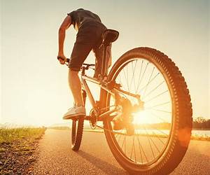 Riding Out the Heat: FMF Love Triangle Pregnancies Riding Out the Heat: FMF Love Triangle Pregnancies