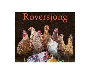 Roversjong Roversjong
