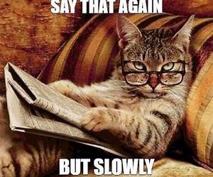 Say It Slowly Say It Slowly