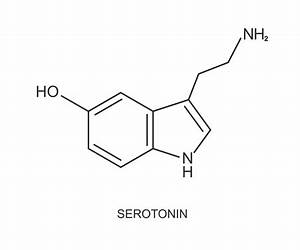 Serotonin, Love, and Acid