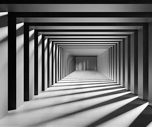 Shadow and Light: Walking with Depression