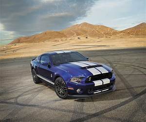 Shelby (Somnolence #5.5)