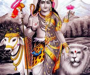 Shiva Shakti: Journey into the Realm of the Devine Feminine and Masculine Energies. Unlocking your Highest Potential and Deepest Transformation
