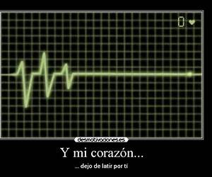 Sin latido Sin latido
