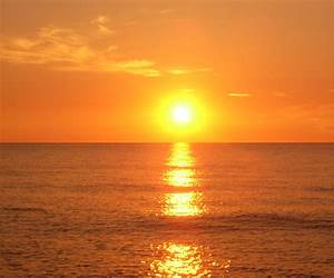 Soleil d'Or Soleil d'Or
