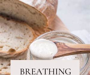 Sourdough Troubles (Homesteader Hearth Witch #3) Sourdough Troubles (Homesteader Hearth Witch #3)