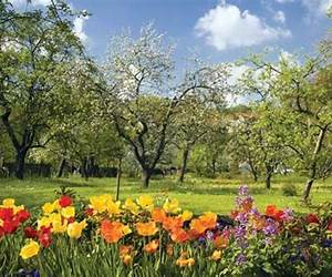 Spring: 2024 Lenten Devotional Spring: 2024 Lenten Devotional