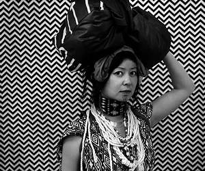 Stephanie Syjuco: The Unruly Archive Stephanie Syjuco: The Unruly Archive