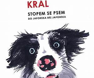 Stopem se psem