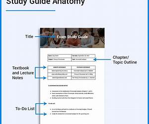 Study Guide: The Whalebone Theatre by Joanna Quinn (SuperSummary)