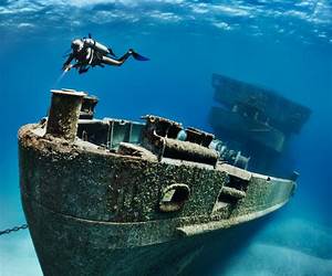 Sunken Ship (Tiny Habitats)