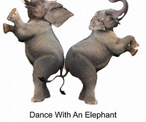 The Dancing Elephant: It's fun to be me! The Dancing Elephant: It's fun to be me!