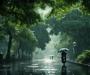 The Days with Rain (Let It Rain, #2)