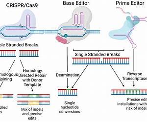 The Gene Editors: The Race for Biotechnology Supremacy The Gene Editors: The Race for Biotechnology Supremacy