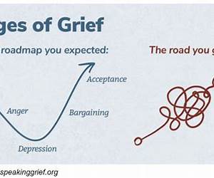 The Grief Experience: Tools for Acceptance, Resilience, and Connection The Grief Experience: Tools for Acceptance, Resilience, and Connection