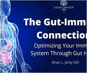 The Gut-Immune Connection: How Understanding the Connection Between Food and Immunity Can Help Us Regain Our Health The Gut-Immune Connection: How Understanding the Connection Between Food and Immunity Can Help Us Regain Our Health