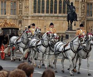 The Horses: A poetic and moving story of community and isolation in the wake of a disaster