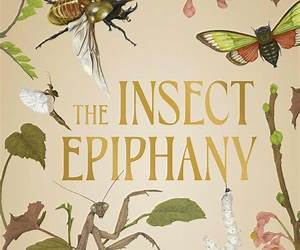 The Insect Epiphany: How Our Six-Legged Allies Shape Human Culture