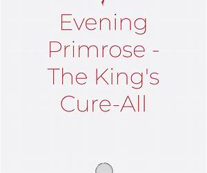 The King's Cure: A Beyond Riverstone Novella The King's Cure: A Beyond Riverstone Novella
