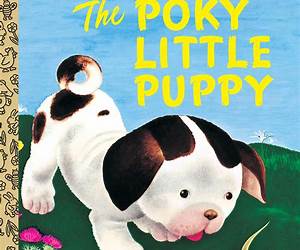 The Little Puppy (My Little Animal Friend)