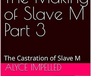 The Making of Slave M, Part 1 The Making of Slave M, Part 1