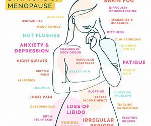 The Menopause: New approach how to navigate the Transition with Knowledge and Confidence The Menopause: New approach how to navigate the Transition with Knowledge and Confidence