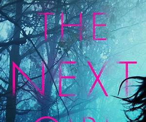 The Next Girl: A C.T. Ferguson Crime Novel (C T Ferguson Mystery Novels Book 8)