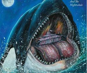 The Night Whale