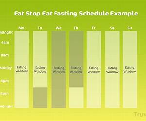 The Official Eat Stop Eat Guide to Intermittent Fasting for Women: Does It Work, Is It Safe, and Is It Right for You? The Official Eat Stop Eat Guide to Intermittent Fasting for Women: Does It Work, Is It Safe, and Is It Right for You?