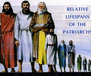 The Patriarchs: How Men Came to Rule