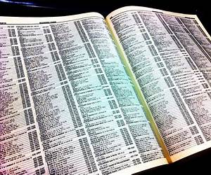 The Phonebook The Phonebook