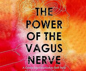 The Power of the Vagus Nerve: The Up-To-Date Guide to Enhancing Vagal Tone and Boosting Brain \u0026 Body Energy