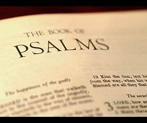 The Psalms: A Christ-Centered Commentary, #1-4 The Psalms: A Christ-Centered Commentary, #1-4