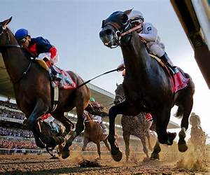The Racing Horse