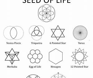 The Seed of Life: A Harem Adventure (The Donor's Harem Book 1) The Seed of Life: A Harem Adventure (The Donor's Harem Book 1)