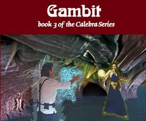 The Sorcerer’s Gambit (The Ring of Worlds #2) The Sorcerer’s Gambit (The Ring of Worlds #2)