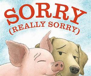 The Sorry Book