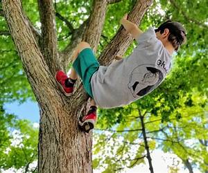 The Tree Climber: Life of Zacchaeus The Tree Climber: Life of Zacchaeus