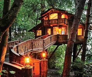 The Tree House: A short story The Tree House: A short story
