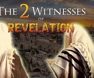 The Two Witnesses (Final Revelation Book 3) The Two Witnesses (Final Revelation Book 3)