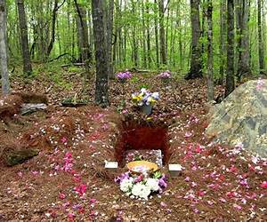 The Woodland Grave The Woodland Grave