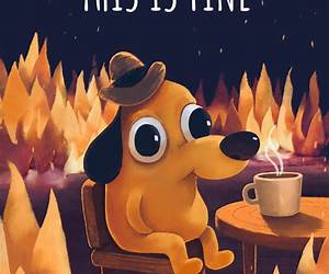 This is Fine This is Fine