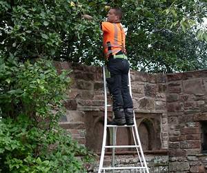 Three-Legged-Ladder: An Unexpected Harvest Three-Legged-Ladder: An Unexpected Harvest