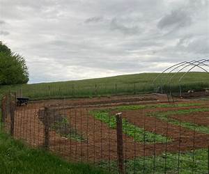To Shoe A Stallion: A Modern Homestead Story