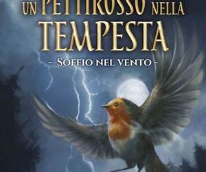 UN PETTIROSSO NELLA TEMPESTA : Soffio nel vento – Vol I (Italian Edition) UN PETTIROSSO NELLA TEMPESTA : Soffio nel vento – Vol I (Italian Edition)