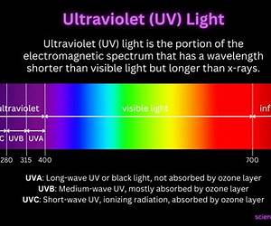 Ultra Violet: Down to Business