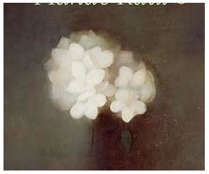 Under the Night Jasmine Under the Night Jasmine